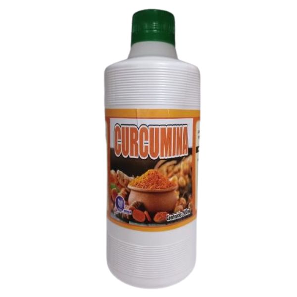 COMPOSTO CURCUMINA VIDA ERVAS- 500ML